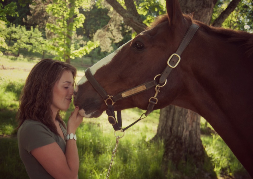 Why I Love Draft Horses (And Why You Should Too)